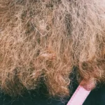 Волосы пушатся от влажности летом